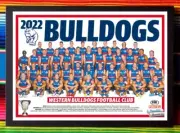 Framed 2022 WESTERN BULLDOGS AFL Poster - 45cm x 32cm x 3cm