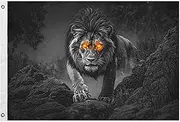 YMXFXP Lion Eye Orange Flag Outdoor Double Sided Cute Funny Flags 24” x 36” - UV & Fade Resistant Flag Banner Garden House Decor with 2 Brass Grommets