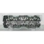 Nason Cylinder Head - Bare - 959972