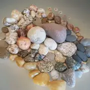 Sampler Lake Michigan Beach Rocks Minerals Fossils Glass Crystals Tumbled 23 oz