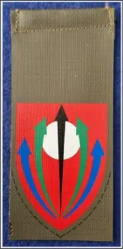 Israel Defense Forces (IDF) Arrows of Fire Design 551st Brigade shoulder tag