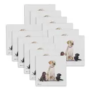12PK Ashdene Puppy Love Labrador Ceramic Coaster Square 10x10cm Drink Pad/Mat