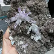 543g Natural Cruze Crystal Transparent Amethyst Cluster Mineral Specimen ZY9