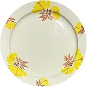 Hasamiyaki Dish, Pasta Plate, Curry Plate, Hand-Painted Indigo Dyeing Kiln, Oriental Rim Plate, L, Yellow, Approx. 9.4 inches (24 cm)