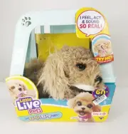 NEW Little Live Pets My Really Real Puppy - Curley The Cavoodle Dog Toy