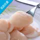 任-卡馬龍 北海道生食S級生干貝(約 8-9顆/250g/包)