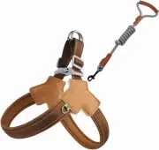 Dog Harness and Leash Set, Anti Pull Step-in Adjustable Reflective Vest Soft ...