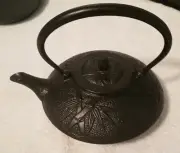 Cast Iron Teapot with Stainless Steel Infuser; Unused; Excellent Condition