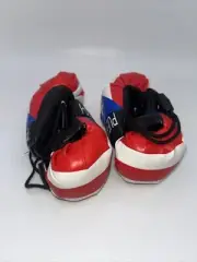 PUERTO RICO HANGING MINI BOXING GLOVES BORICUA FLAG 2 Pairs