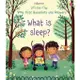 What Is Sleep? (硬頁翻翻書)(硬頁書)/Katie Daynes Lift-the-Flap Very First Questions and Answers 【三民網路書店】