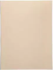 Foam Sheet 9"X12" 2mm Light Tan