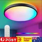 Smart Ceiling Light Compatible with Alexa 24W 11.8 Inch for Kids Room Party