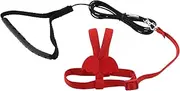 OTOTEC 1 Set 2M Pet Parrot Bird Harness and Leash Outdoor Bird Flight Training Rope Suitable for Alexandrine, Scarlet, Keck, Mini Macaw Same Size Birds