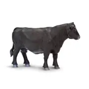 ANGUS COW Farm Animal Figurine Safari Ltd. toy
