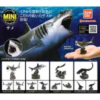 在飛比找樂天市場購物網優惠-全套4款【日本正版】生物大圖鑑 鯊魚篇 扭蛋 轉蛋 深海鯊魚
