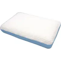 在飛比找蝦皮商城優惠-Victoria 基本型恆溫冷凝涼感記憶枕(40x60x14
