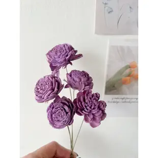 紫色系列 索拉花 可噴香水精油擴香