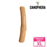 【德國CANOPHERA】咖啡木咬咬棒XL號(啃咬玩具/耐咬玩具/磨牙棒/木頭玩具)