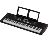 在飛比找momo購物網優惠-【ROLAND 樂蘭】E-X10 61鍵電子琴 伴奏電子琴 