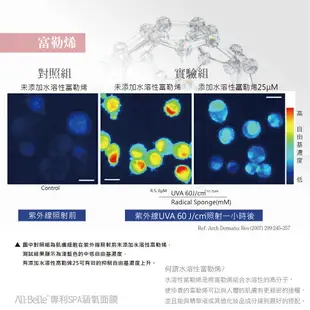 【愛比堤 官方授權】 富勒烯‧小分子玻尿酸 60分鐘SPA涵氧面膜一組2盒/10片