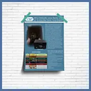 Ionic Foot Detox Poster