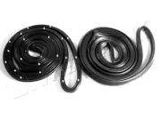 1964-1965 Pontiac LeMans, Tempest, GTO 2 dr sedan door weatherstrip seals, pair