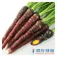 《農友種苗》精選生菜種子 LS-058彩色胡蘿蔔(紫皮黃心)