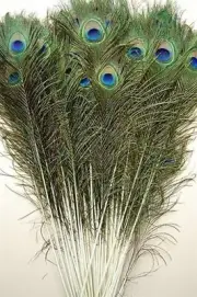 50 Pcs Assorted Peacock Feathers 25-30'' for Elegant Decorations and Crafts