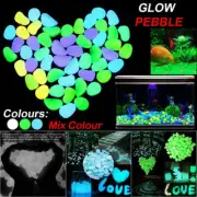 100/300X Glow in The Dark Pebbles Garden Glowing Rocks Fish Tank Luminous Stones