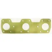 Platinum Extractor Gasket - HSM65