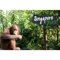 在飛比找蝦皮購物優惠-【30分鐘內出票】新加坡動物園電子票 Singapore Z