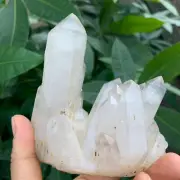 399g Natural Clear White Quartz Crystal Cluster Rough Healing Specimen