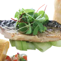 在飛比找UrMart優馬選品優惠-[富琳嚴選] 安心好魚系列 薄鹽鯖魚片-小 (140g) *