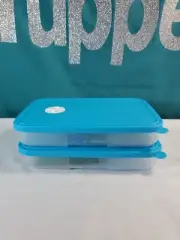 Tupperware Freezer Mates Set Refrigerator Date Dial 550ml Frigo Freezermate