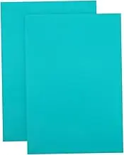 Gadpiparty 2pcs Crafts Printmaking Plastic Board Supply Carving Block Printmaking Pad for Easy to Cut Sheet Engraving Material for Creating Stamps and Prints