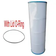 For Astral Hurlcon ZX250 Pool Cartridge Filter Element Magnum ZX-250 Filter