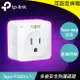 TP-LINK Tapo P100(1入) 迷你型 Wi-Fi 智慧插座