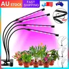 Grow Light 4 Head 80 LED Growing Veg Flower Indoor Clip 40W Plant Lamp NEW