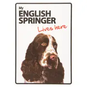 Magnet & Steel My English Springer Lives Here