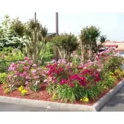 Quality Inn Clinton-Knoxville North