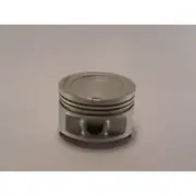 Austral Piston Set - PO966 060