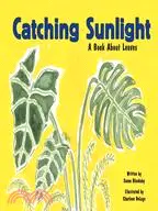 在飛比找三民網路書店優惠-Catching Sunlight: A Book Abou