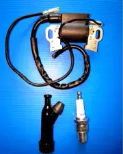 HONDA HRJ196 HRJ216 LAWNMOWER IGNITION COIL SPARK PLUG