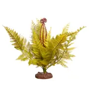 Reptile One Plant Large Eagle Fern Green w/ Ceramic Base 38cm (46854)