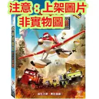 在飛比找Yahoo!奇摩拍賣優惠-老店新開-動漫動畫劇  飛機總動員：打火英雄 (迪士尼)dv