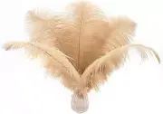 Champagne Large Ostrich Feathers - 12Pcs 14-16Inch Large Boho Feathers for Vase,