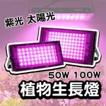 100W 植物生長燈 LED 太陽光 植物燈 植物燈架 燈夾 植物燈座 植物燈夾 全光譜 多肉植物燈 生長燈 多肉