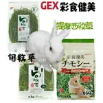 日本 GEX 彩食健美 提摩西 650G 兔牧草 提摩西草 旬牧草 (義大利黑麥草)