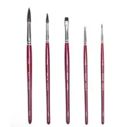 Watercolor brush set 5 brushes with brush bag, paint brush set.Watercolor painting. Coloring��Highlight�� Details