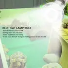 Amphibians Heat Lamp Bulb High Efficiency Day Night Reptile Basking Spot Light